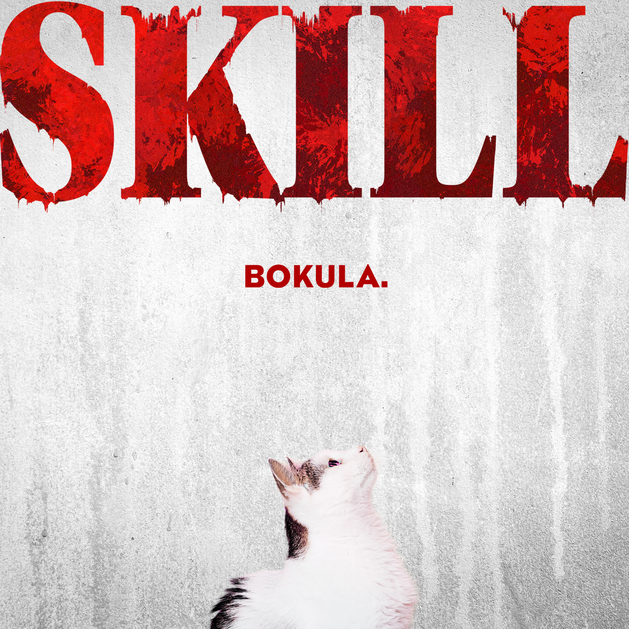 DISCO - bokula.
